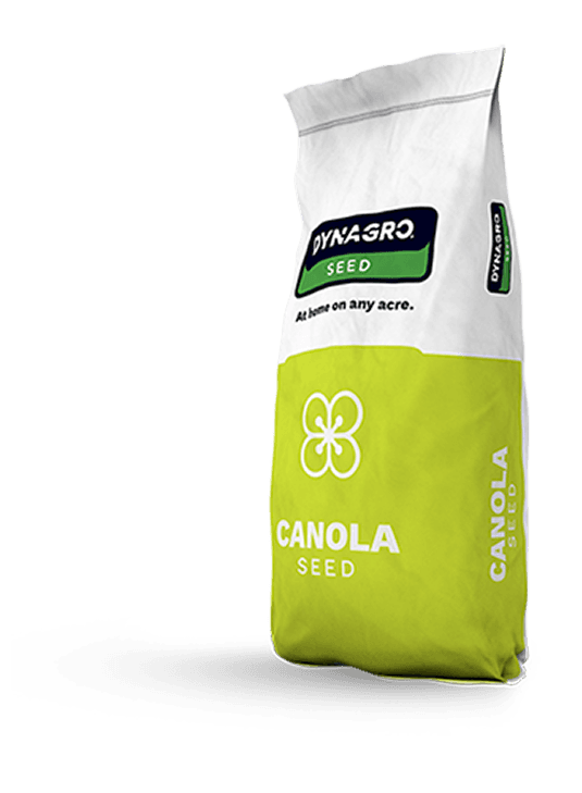 Canola seed bag