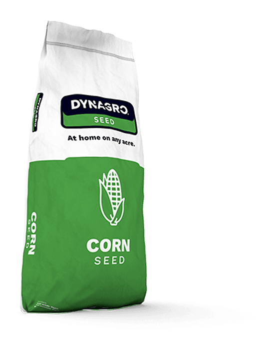 Corn Seed bag