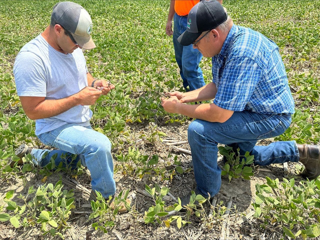 Ben Kuhn (left) with Dyna-Gro Seed agronomist Jerry Lubbehusen