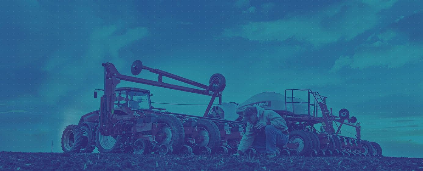 A farmer crouches down to inspect his crops